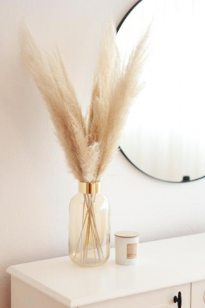 Apartment Pampas